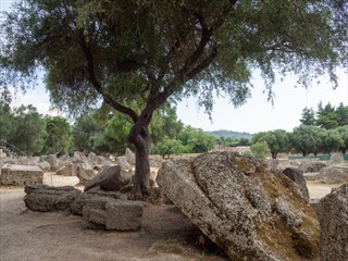 Baum