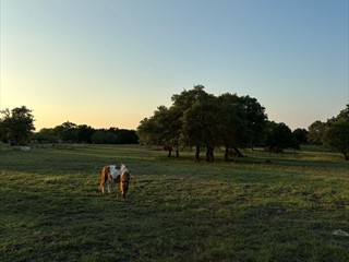 Scenic view