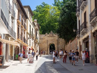Puerta de las Granadas