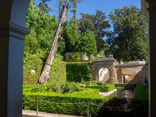 Auf wiedersehen Alhambra