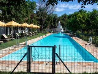 Wir wollen Pool machen