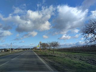 ... bis zum bitteren Ende