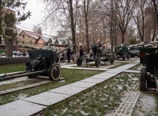 Im Vorgarten Geschütze