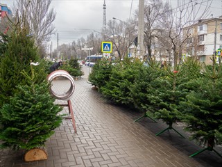 Was im russischen Kalender noch gar nicht stattgefunden hat. Erst man 7. Januar. Deswegen kann man hier überall Bäume kaufen