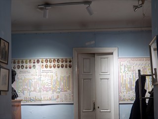 Mächtiger Stammbaum