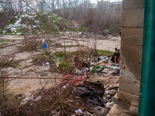 Zunächst wurden alle "Bewohner" vertreiben ...